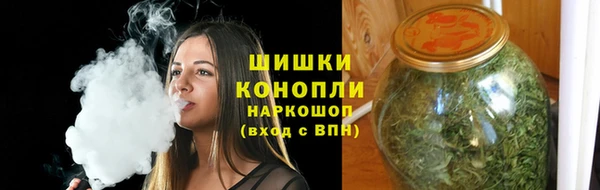сатива Кодинск
