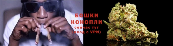 стаф Краснотурьинск