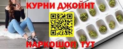 a pvp Гатчина