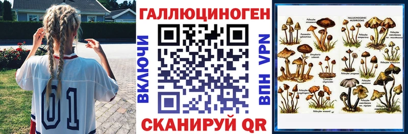 Псилоцибиновые грибы Psilocybine cubensis  MEGA ссылка  Малгобек 